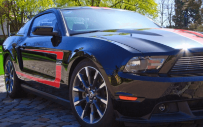 Annual Premiums Over ₹5 Lakh on Life Insurance Policies